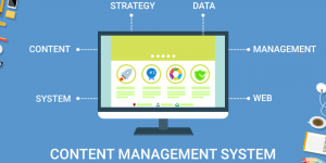The know-how of a Viable Content Management System