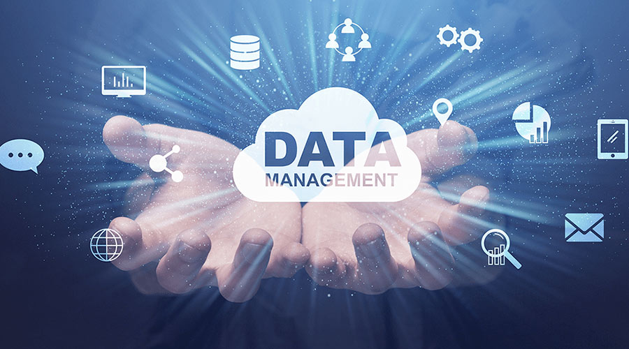 Data Management Issues