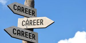 Desire a Change in Your Career Path?: Use These Tips