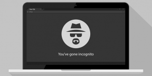 6 Disadvantages of Incognito Mode (Risks of Private Browsing)
