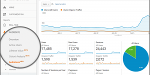 Google Analytics Introduces New ‘Audiences’ Report