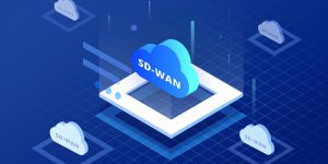 Is SD WAN an Essential for Growing Startups?