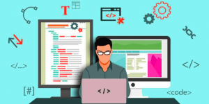 Software Developer Skills for Freshers to Enter The Software Industry