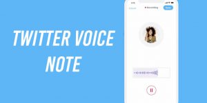 How to use Twitter Voice Tweets with the following steps?