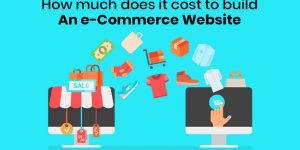 How much does it cost to build an e-Commerce Website?