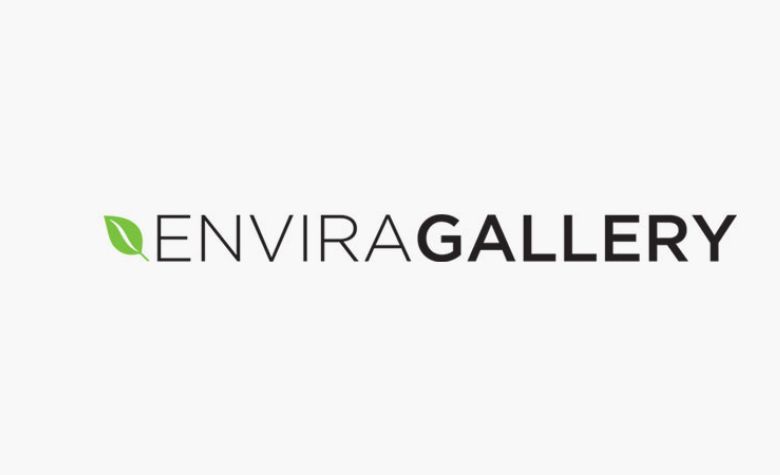 Envira Gallery wordpress plugin