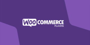 45 Best WooCommerce Plugins for your WordPress eCommerce Store