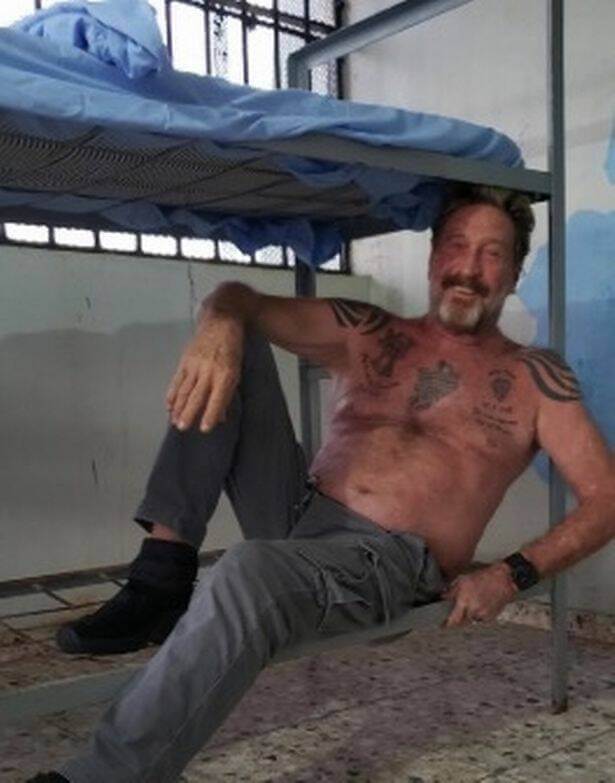 john mcafee in jail images