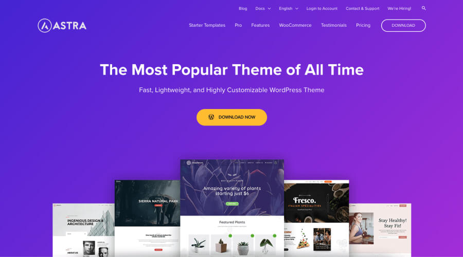 Astra - WordPress Blog Theme