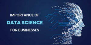 Importance of Data Science for Businesses