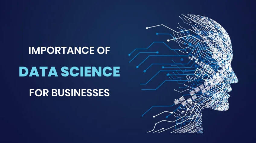 Importance of Data Science for Businesses