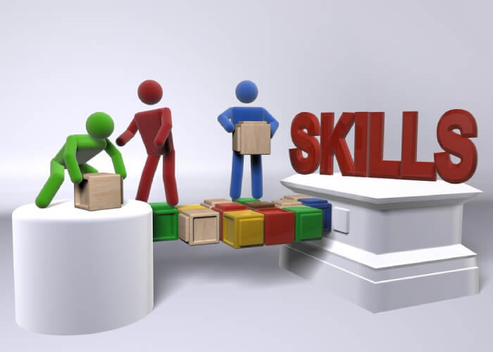 Skills Development