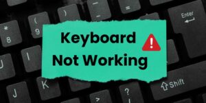 Fix the Keyboard not Working in Windows 10/11