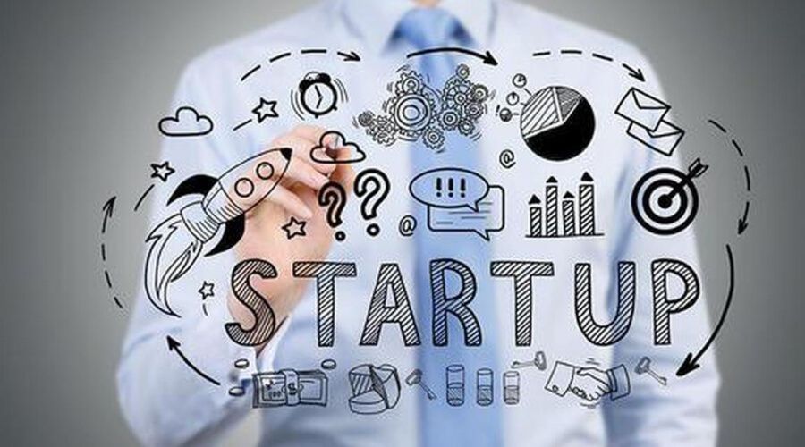 The Start-up Sector