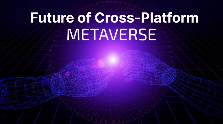 Future of Cross-Platform Metaverse Development