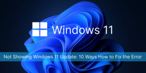 Not Showing Windows 11 Update: 10 Ways How to Fix the Error