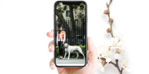 How to Improve Dog Walking App Through Positive User Feedback