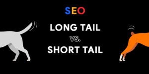 Difference Between Long Tail Keywords And Short Tail Keywords