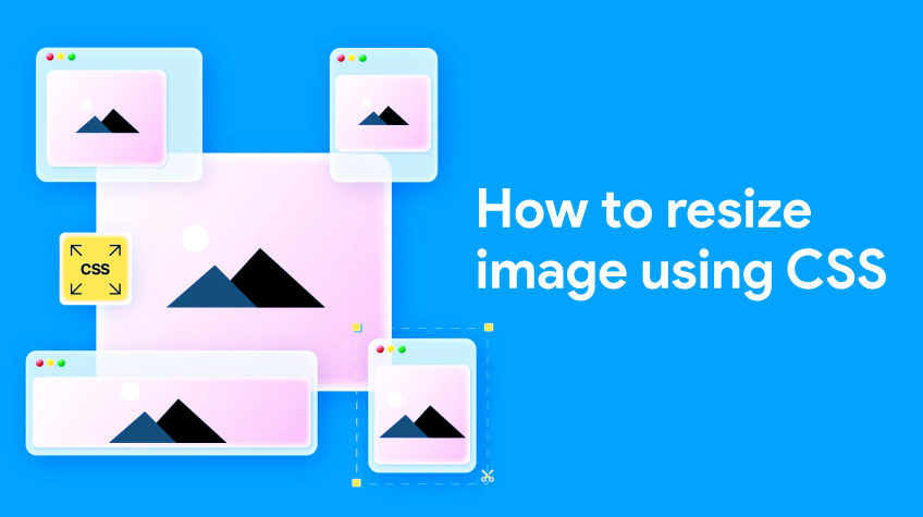 How to Change Image Size in CSS – Resize Image Height & Width