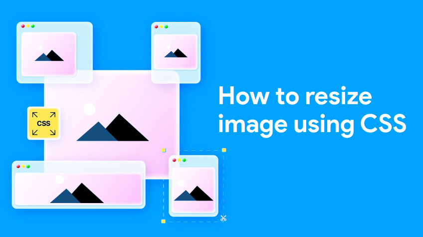 How To Change Image Size In CSS Resize Image Height Width