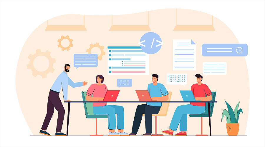 What is the Software Development Process_