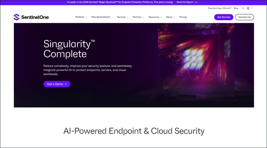 SentinelOne Singularity