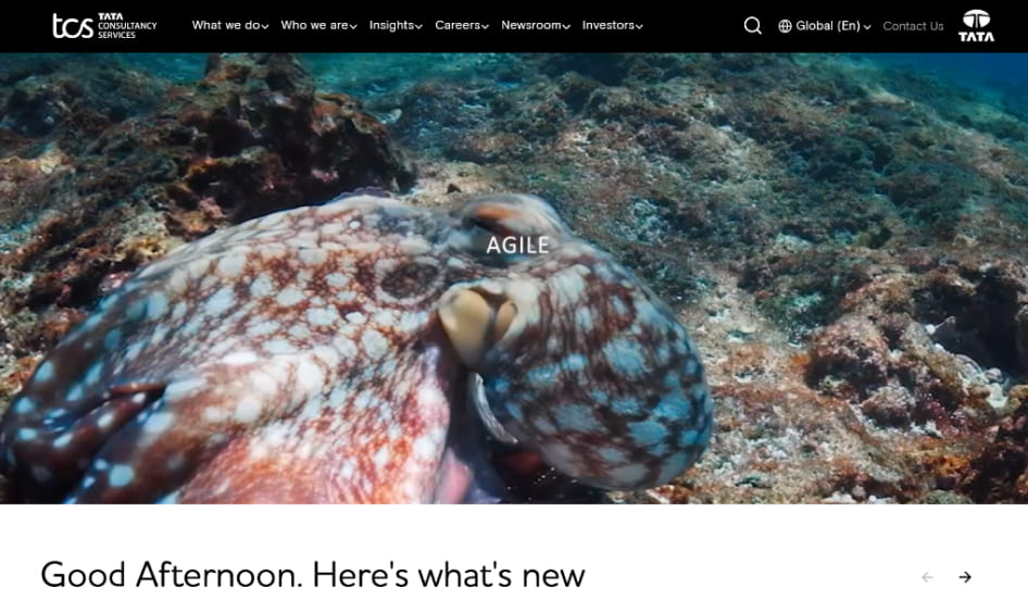 Tata Consultancy Services TCS - WeeTech Solution Pvt Ltd