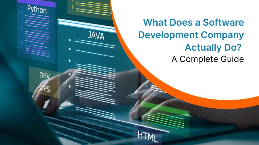 Graphic showing "What Does a Software Development Company Actually Do?" with icons for Python, Java, and DevOps.