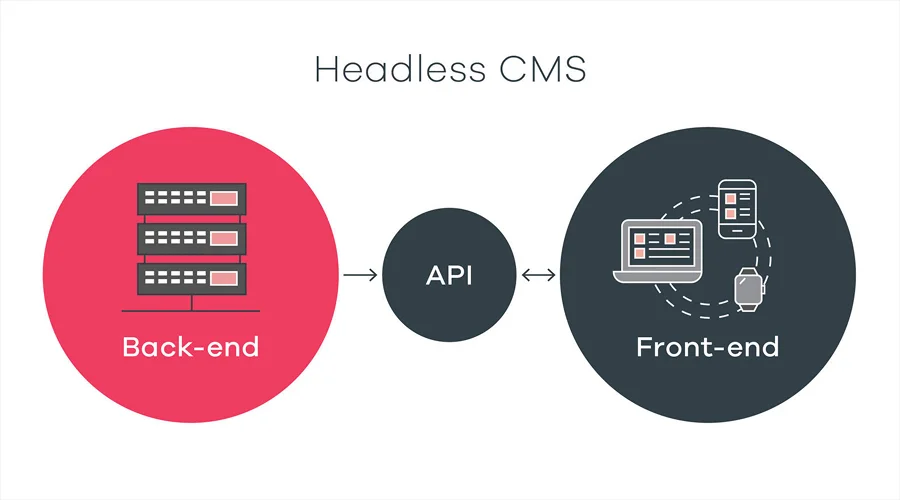 Who Should Choose a Headless CMS_ - WeeTech Solution Pvt Ltd